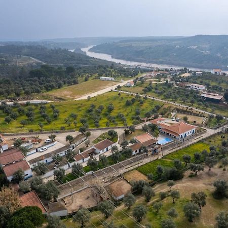 Pensjonat Quinta Ribeiro Tanquinhos Tancos Zewnętrze zdjęcie