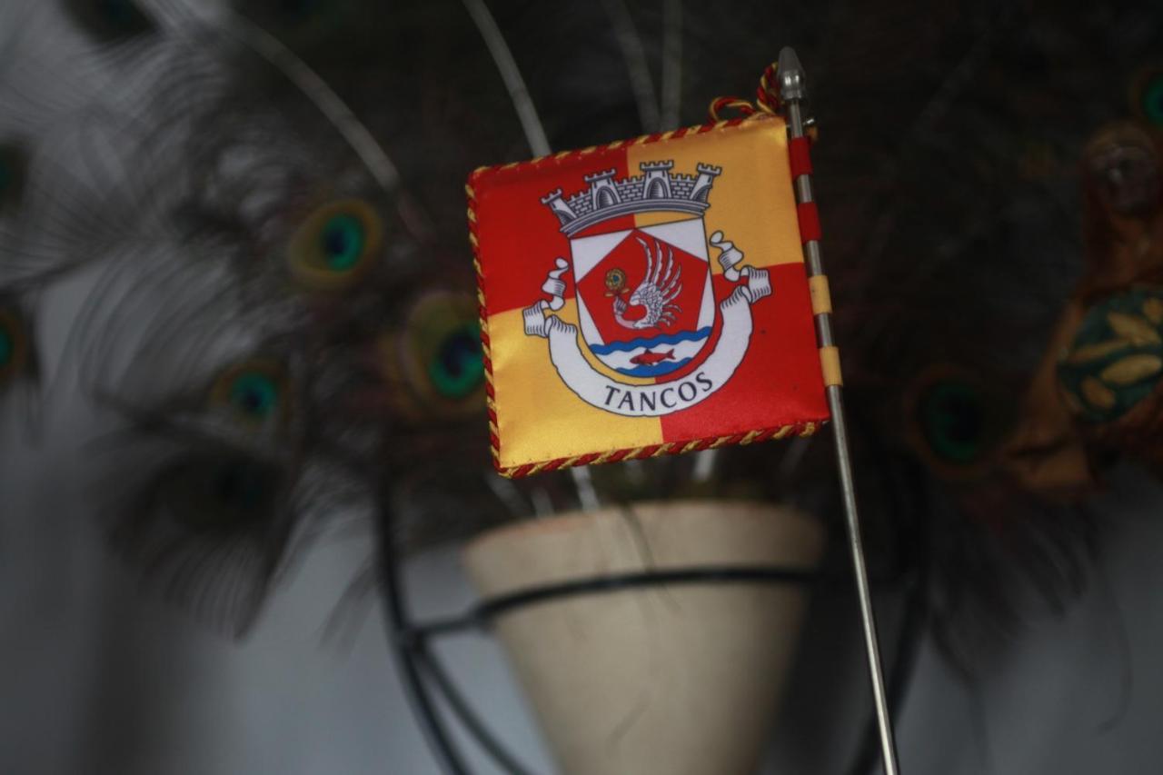Pensjonat Quinta Ribeiro Tanquinhos Tancos Zewnętrze zdjęcie