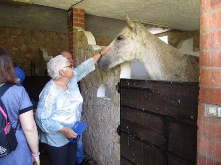 Pensjonat Quinta Ribeiro Tanquinhos Tancos Zewnętrze zdjęcie