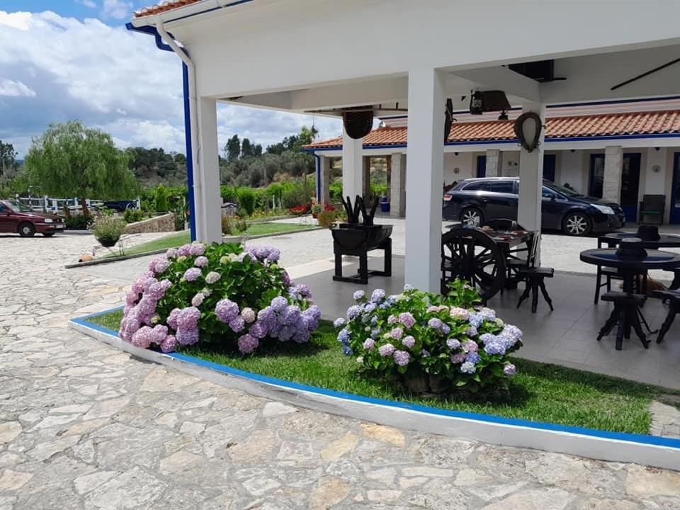 Pensjonat Quinta Ribeiro Tanquinhos Tancos Zewnętrze zdjęcie