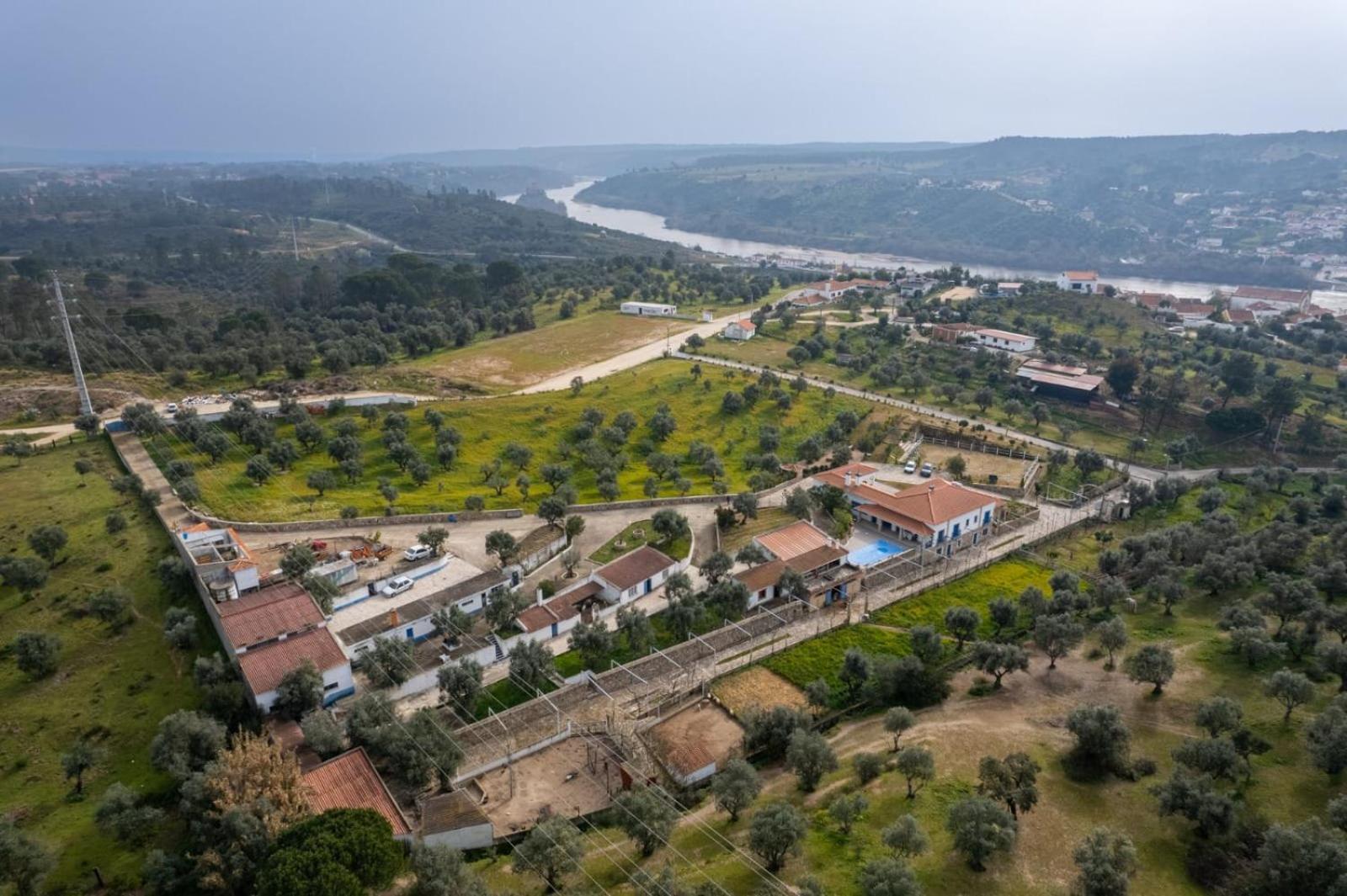 Pensjonat Quinta Ribeiro Tanquinhos Tancos Zewnętrze zdjęcie