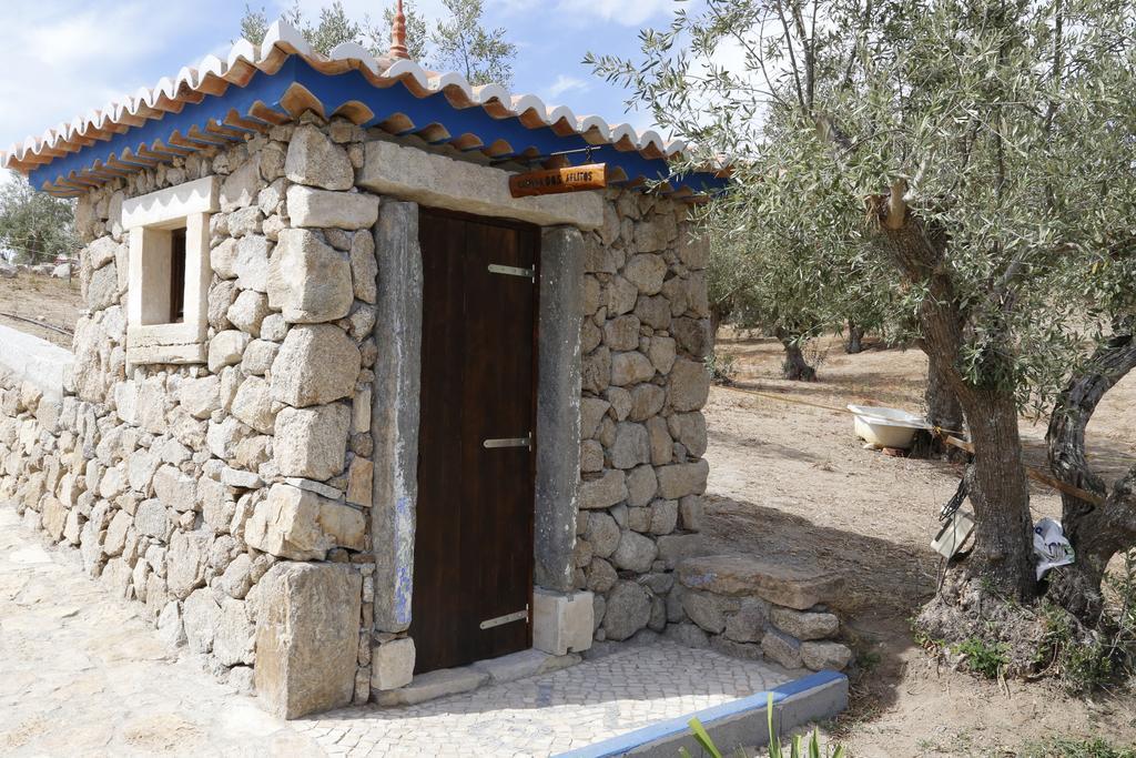 Pensjonat Quinta Ribeiro Tanquinhos Tancos Zewnętrze zdjęcie