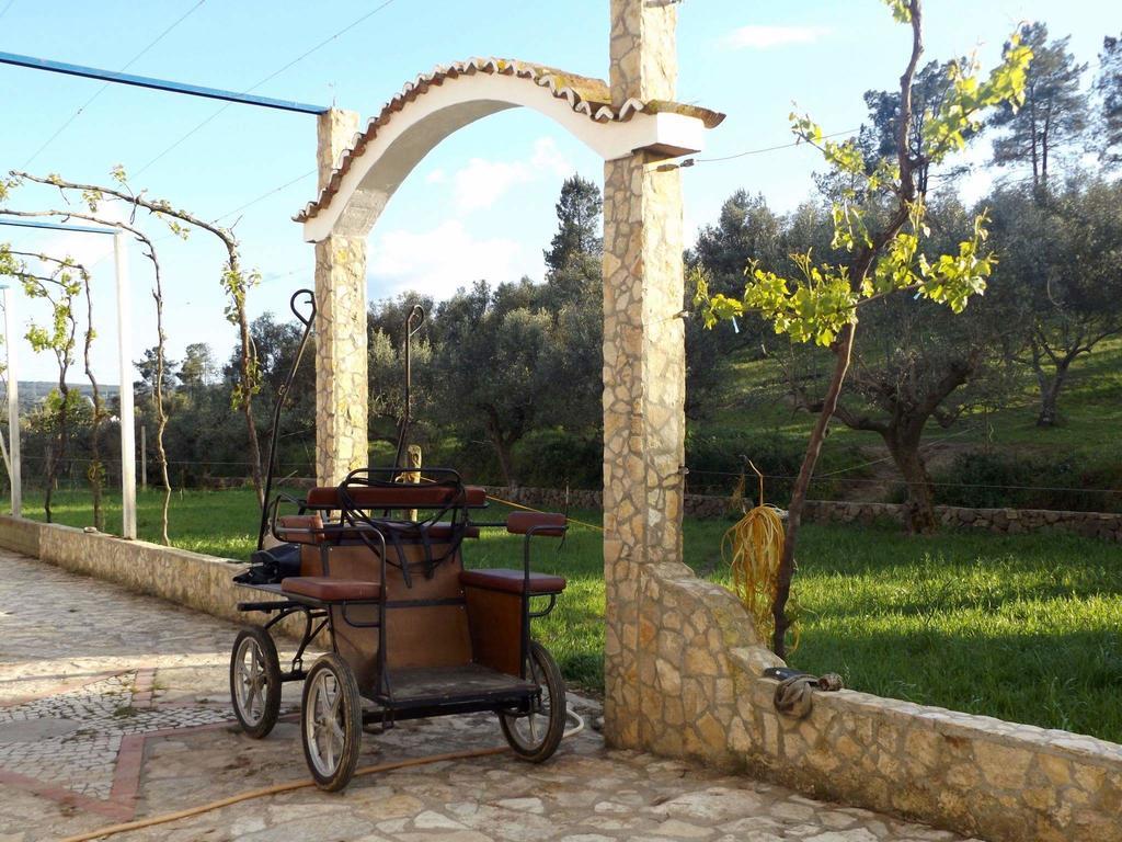 Pensjonat Quinta Ribeiro Tanquinhos Tancos Zewnętrze zdjęcie