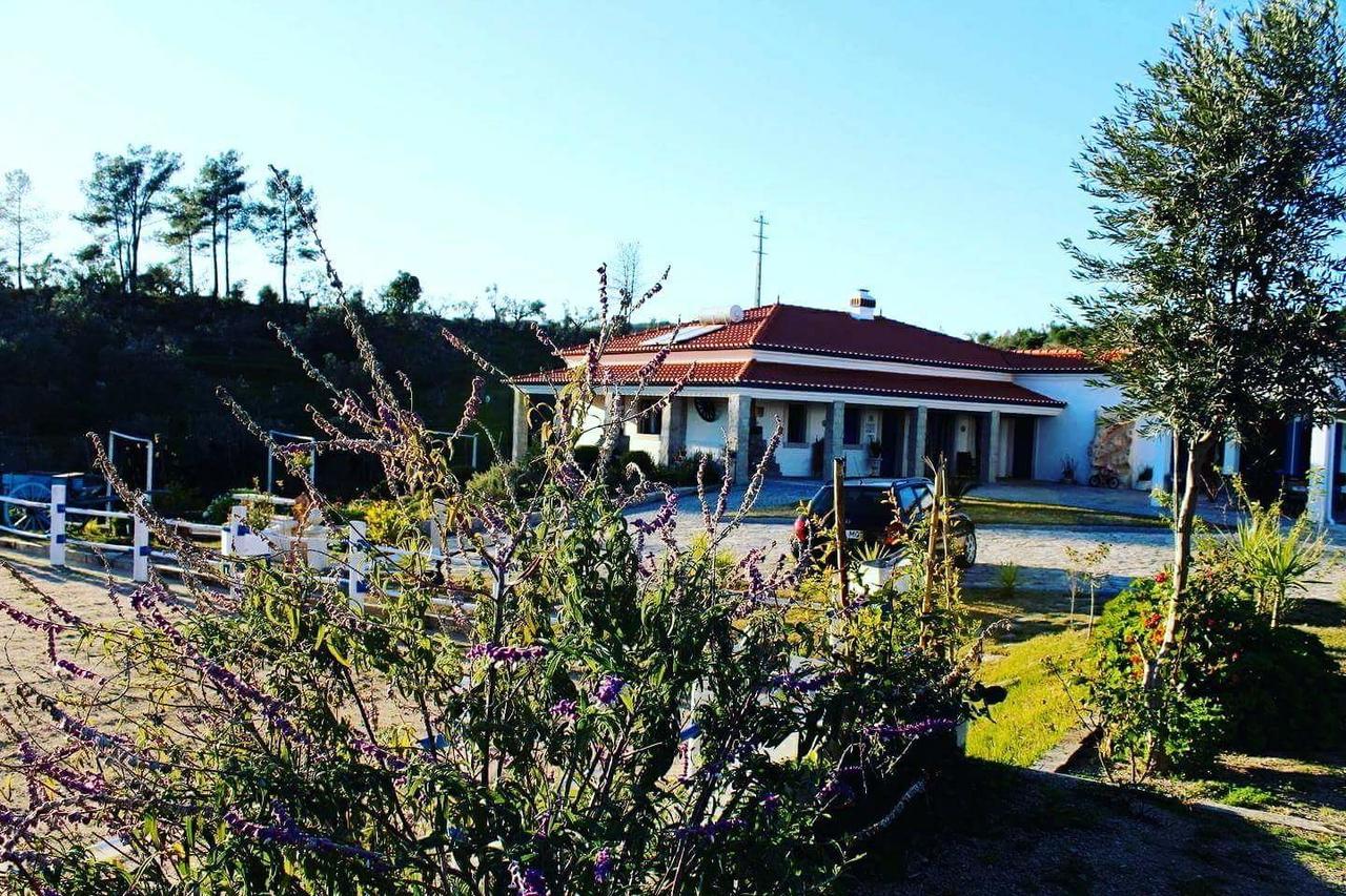 Pensjonat Quinta Ribeiro Tanquinhos Tancos Zewnętrze zdjęcie