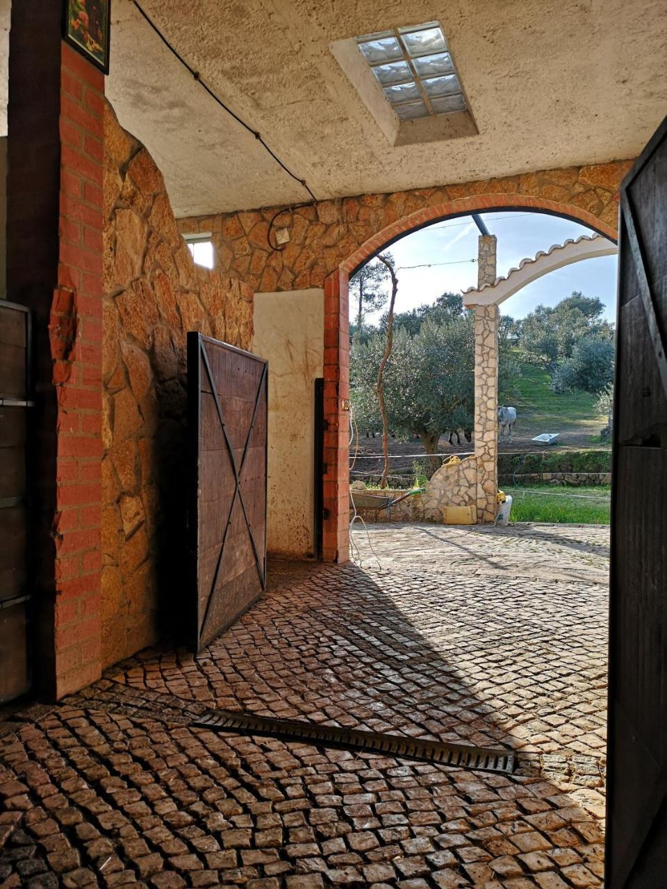 Pensjonat Quinta Ribeiro Tanquinhos Tancos Zewnętrze zdjęcie